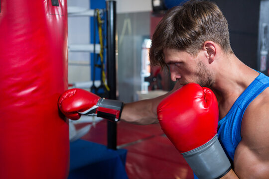 Fototapeta Muscular boxer punching heavy bag near ring ropes on padded gym floor wearing red gloves