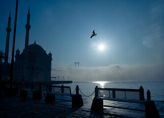 View of July 15 Martyrs Bridge (Bosphorus Bridge) with seagull and sunrise in fog clouds. Foggy...