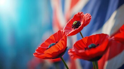 Red remembrance poppies in front of UK flag for Armistice Day and war memorial tribute