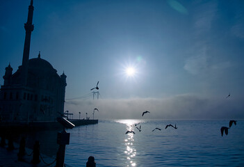 View of July 15 Martyrs Bridge (Bosphorus Bridge) with seagull and sunrise in fog clouds. Foggy...