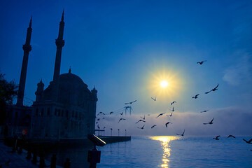 View of July 15 Martyrs Bridge (Bosphorus Bridge) with seagull and sunrise in fog clouds. Foggy...