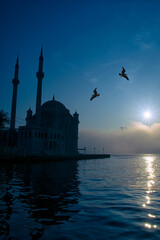 View of July 15 Martyrs Bridge (Bosphorus Bridge) with seagull and sunrise in fog clouds. Foggy...