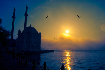 View of July 15 Martyrs Bridge (Bosphorus Bridge) with seagull and sunrise in fog clouds. Foggy...