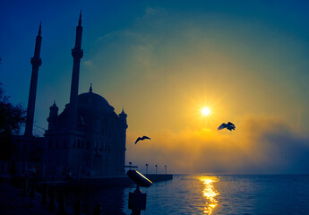 View of July 15 Martyrs Bridge (Bosphorus Bridge) with seagull and sunrise in fog clouds. Foggy...