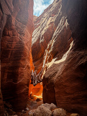 hiking trail through tall red sandstone cliffs and slot canyon of Buckskin Gulch from Wire Pass in the backcountry of southern Utah