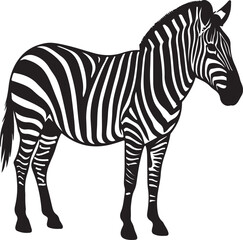 Fototapeta premium Zebra's Icon or Logo silhouette Vector Image with white background