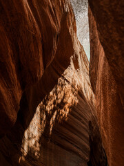 hiking trail through tall red sandstone cliffs and slot canyon of Buckskin Gulch from Wire Pass in...