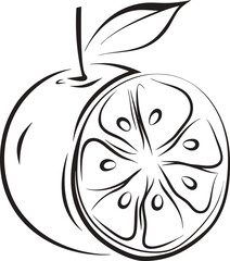 Elegant orange fruit illustration black and white line art minimalist style