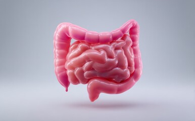 A blank human stomach is shown in 3D isolation on a white background, highlighting digestion anatomy with internal health organs, the body's digestive biology system, and a medical concept of a