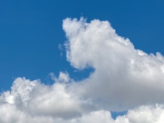 Fototapeta premium Blue sky with clouds background, sunny day. White and grey fluffy cloudscape