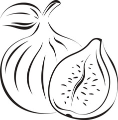 Fig fruit line art illustration fresh healthy food outline drawing