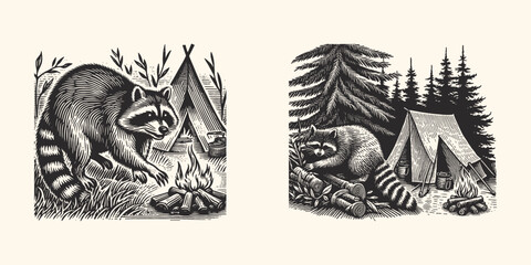 Engraving Style Illustration of a Raccoon Sneaking into a Campsite – Woodcut Animal Art Scene, Forest Wildlife Design for Nature and Outdoor Themed Projects
