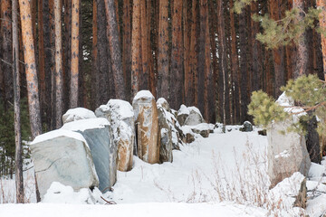 A snowy forest with a large pile of rocks in the middle