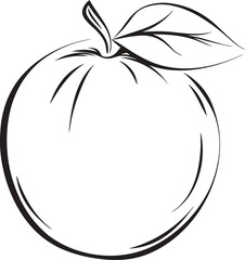 Simple apple vector illustration with leaf in black and white outlines