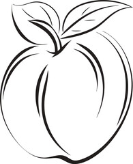 Minimalist line art depiction of a fresh peach fruit with leaves