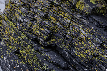 Coastal layered rock formation with algae close up