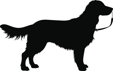 Obraz premium Elegant Dog Silhouette Standing on White Background