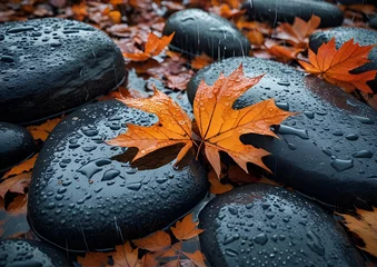 Close-Up of Wet Stones and Autumn Leaves in Rain 