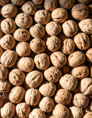 walnuts still life photograph