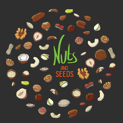 Colorful Nuts and Seeds Vector Illustration
