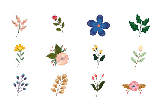 Colorful Spring Floral Nature Leaves Illustrations Set