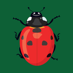  ladybug,  illustration, insect, cartoon, beautiful ladybug, on a green background, 