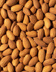 Fototapeta premium Almonds still life photograph