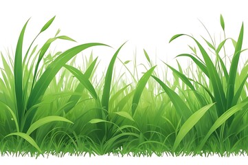 Fototapeta premium fresh green grass isolated on white background. Spring, Summer element design