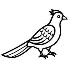 dove of peace