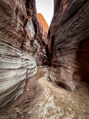 Narrow sandstone walls and dramatic light in Buckskin Gulch, one of the longest slot canyons in the Southwest.  textured rock formations and the stunning depth of this remote Utah slot canyon