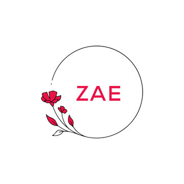 ZAE Letter logo white background