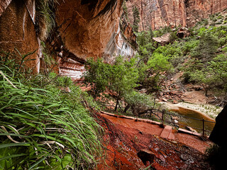 Popular hiking trail below red sandstone cliffs and small waterfalls dropping into the Emerald Pools in Zion National Park