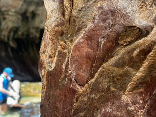 common tree frog camouflaged on sandstone rock in southern utah cliff with hiker in background