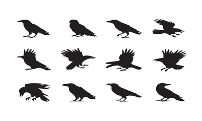 silhouettes of crows set