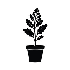 Potted plant simple black silhouette botanical illustration
