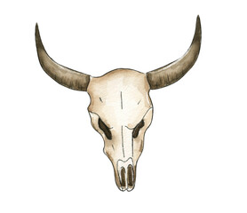 Hand Drawn Watercolor Bull Skull with Horns Isolated