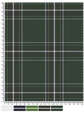 Detailed Plaid Fabric Swatch in Dark Green White and Navy with Ruler Markings Close fabric