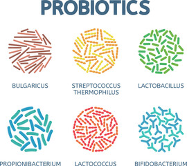vector abstract bacteriology icons isolated on white background. set of bulgaricus, streptococcus thermophilus, lactobacillus, propionibacterium, lactococcus and bifidobacterium symbols, medical backg