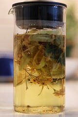 Linden blossom tea; Close-up of linden blossom brewed in a transparent vessel