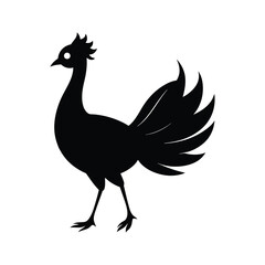 rooster isolated on white background