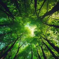 Obraz premium View looking up into a lush green forest canopy, showcasing vibrant leaves and sunlight