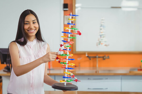 Female student assembling DNA double helix on lab bench in science lab featuring whiteboard diagram