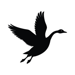 vector illustration of a seagull
