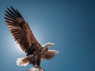 Obraz premium A majestic bald eagle gracefully landing on a flagpole, its sunlit feathers glowing, representing strength and national pride.