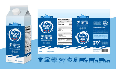 Vector milk carton packaging design template