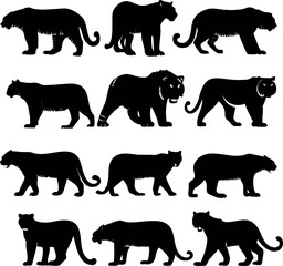 Black and white silhouette illustration showing big cats in various poses