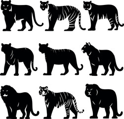 Nine Black Tiger Silhouettes in Various Poses Isolated on White Background
