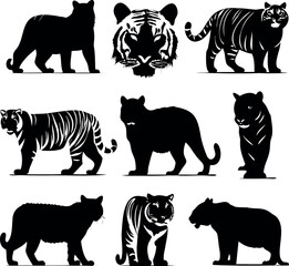 Tiger Silhouette Collection Featuring Various Poses and Perspectives of Tigers