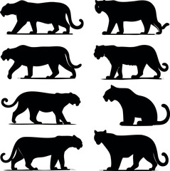 Silhouetted Black Panthers in Various Poses on a White Background Design