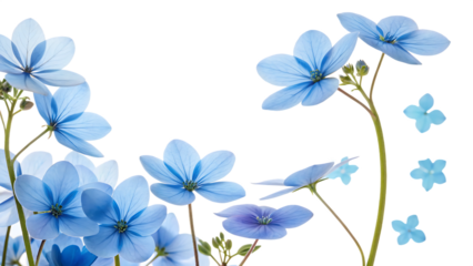blue flowers frame and petals isolated on white background PNG. AI GENERATED
